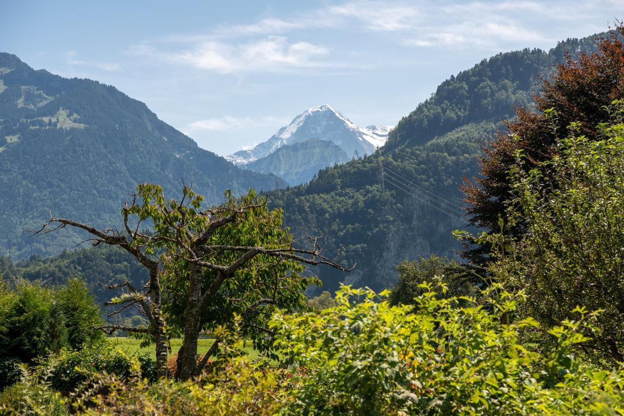 Salzano Basic Rooms Interlaken Bagian luar foto