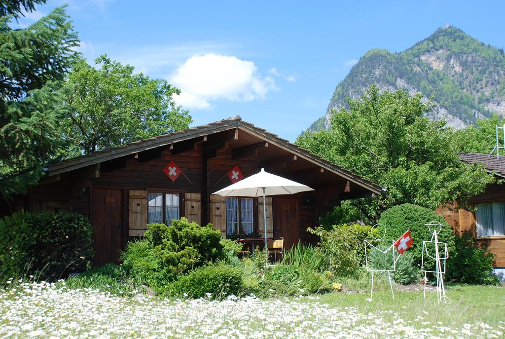 Salzano Basic Rooms Interlaken Bagian luar foto